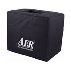 AER Domino 2 100W acoustic guitar amplifier with control knobs and input jacks, compact design, brand logo visible.