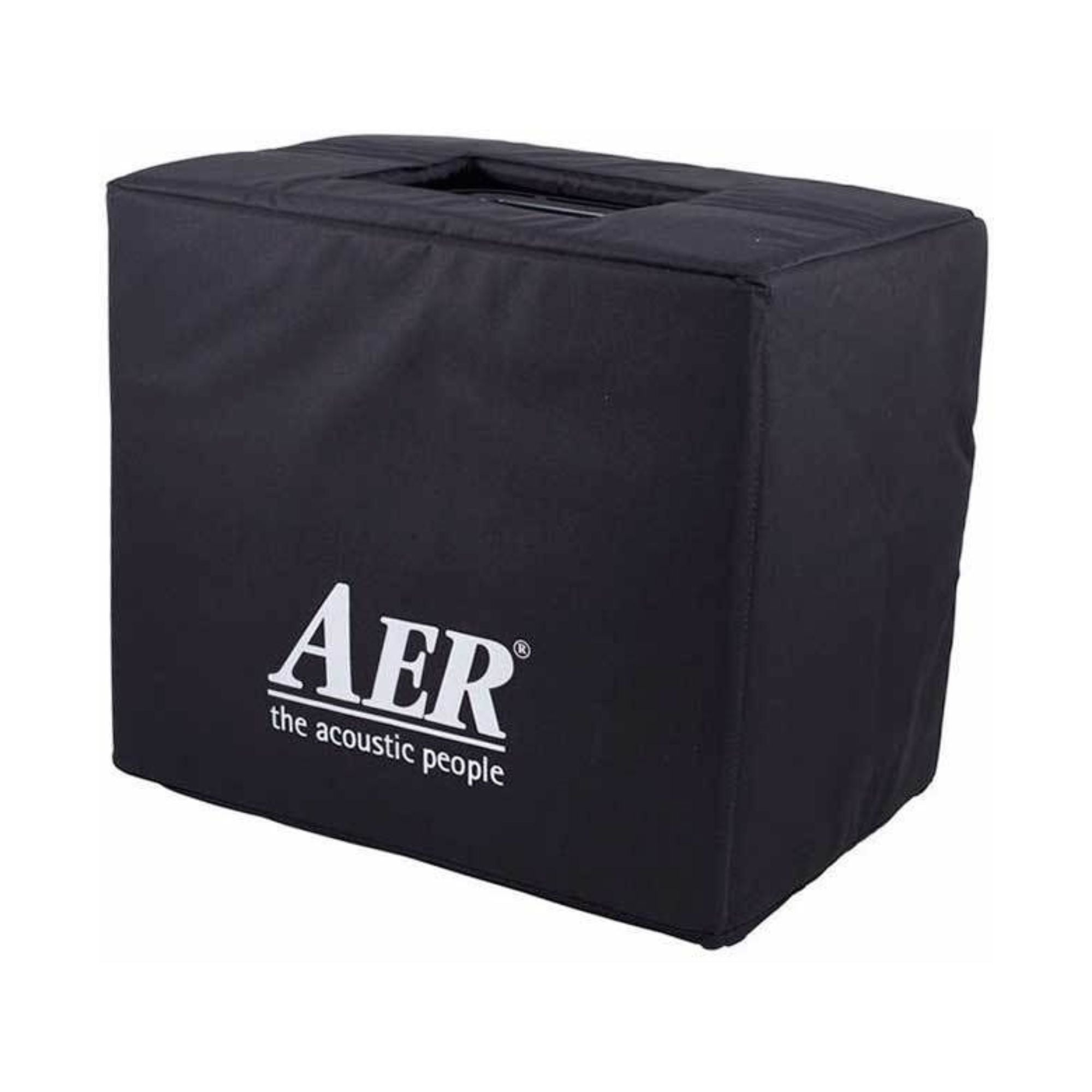 AER Domino 2 100W acoustic guitar amplifier with control knobs and input jacks, compact design, brand logo visible.