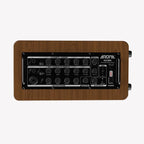 Aroma AG60A Acoustic Guitar Amplifier