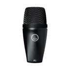 AKG P2 high performance live bass dynamic wired microphone with rugged design for live vocals and instrument amplification.