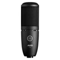 AKG P120 High Performance General Purpose Recording Microphone