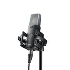 AKG C114 multi-pattern condenser studio microphone with adjustable polar patterns and rugged metal body, used for professional audio recording.