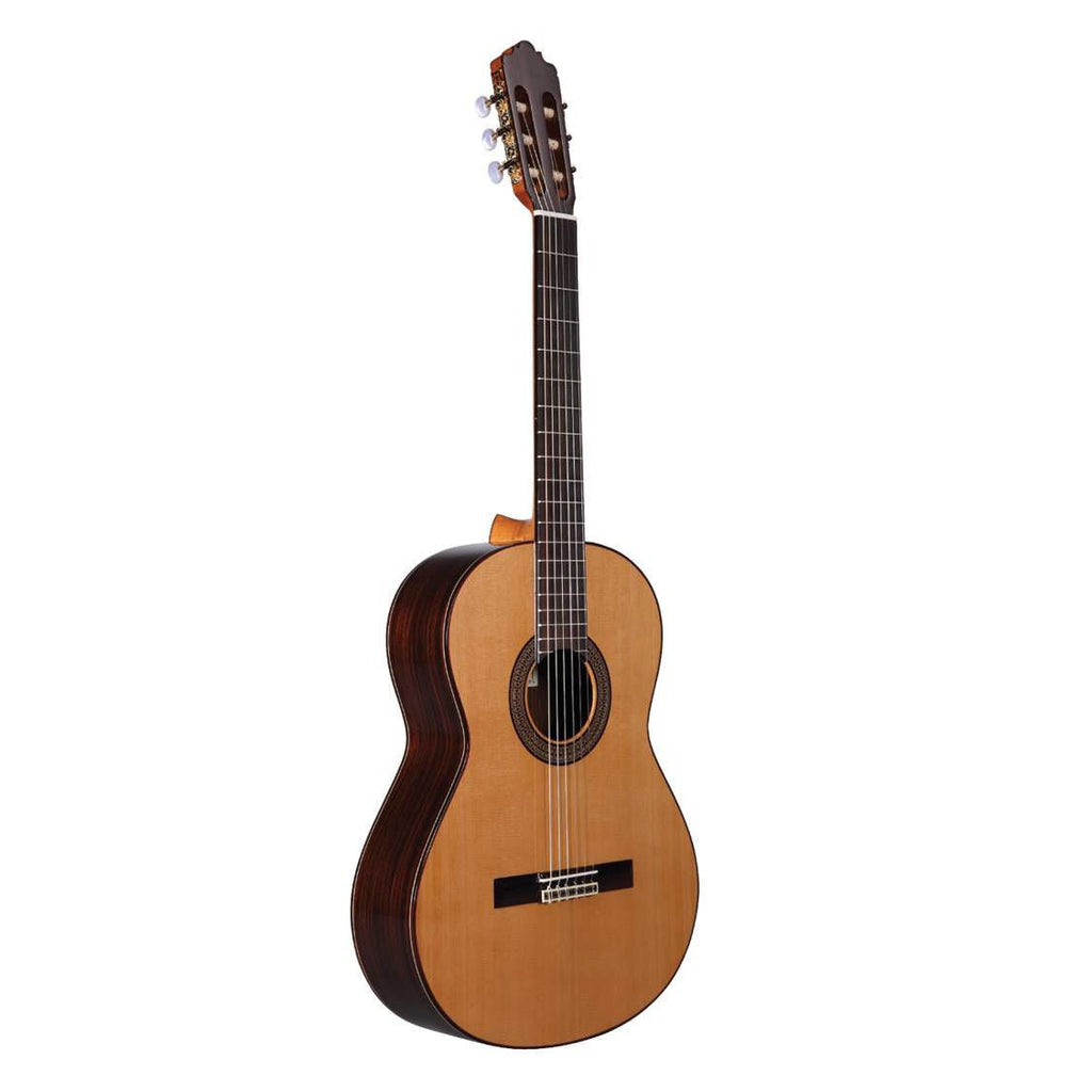 Altamira Guitars N300 Entry Level Classical Guitar / Solid Cedar Top / Laminate Indian Rosewood Back and Sides / Gloss Finish
