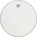 Remo 11 inch Encore Series Ambassador Coated High Collar Banjo Drumhead