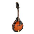 Bryden SMA60 Archtop Mandolin in Tobacco Sunburst