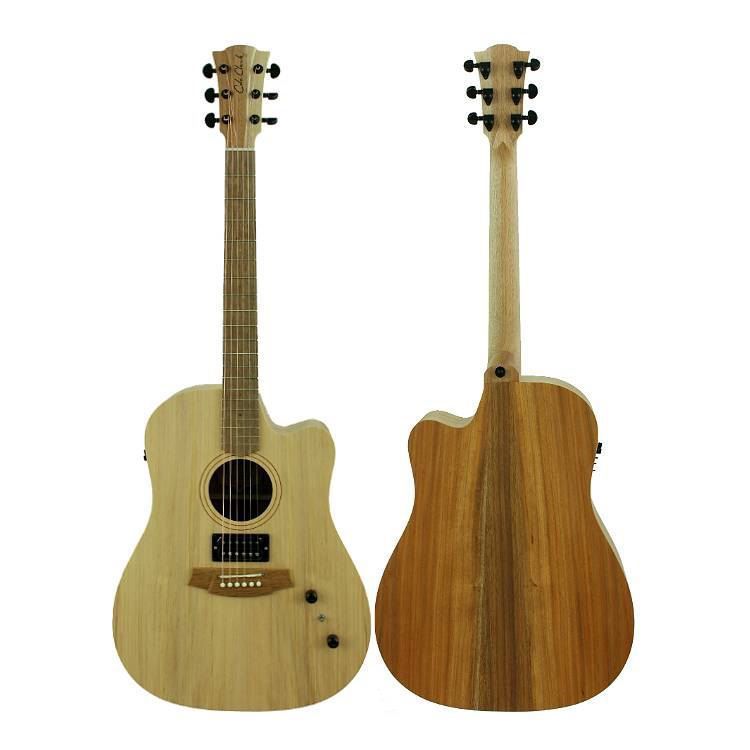 Cole Clark Fat Lady 1 Series Humbucker Acoustic Guitar - Bunya Blackwood