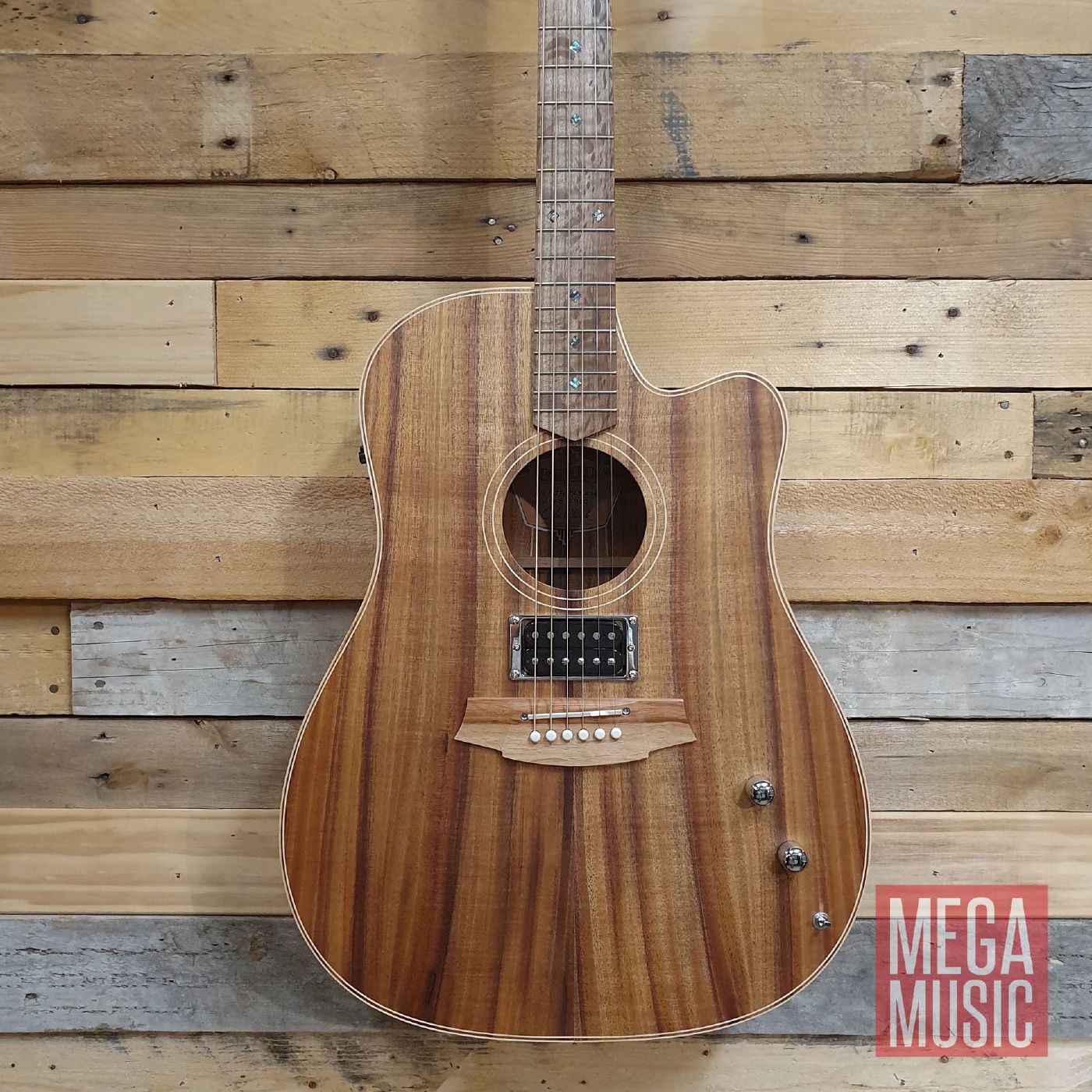 Cole Clark Fat Lady 2 Acoustic Guitar with Humbucker Pickup and Cutaway - All Blackwood