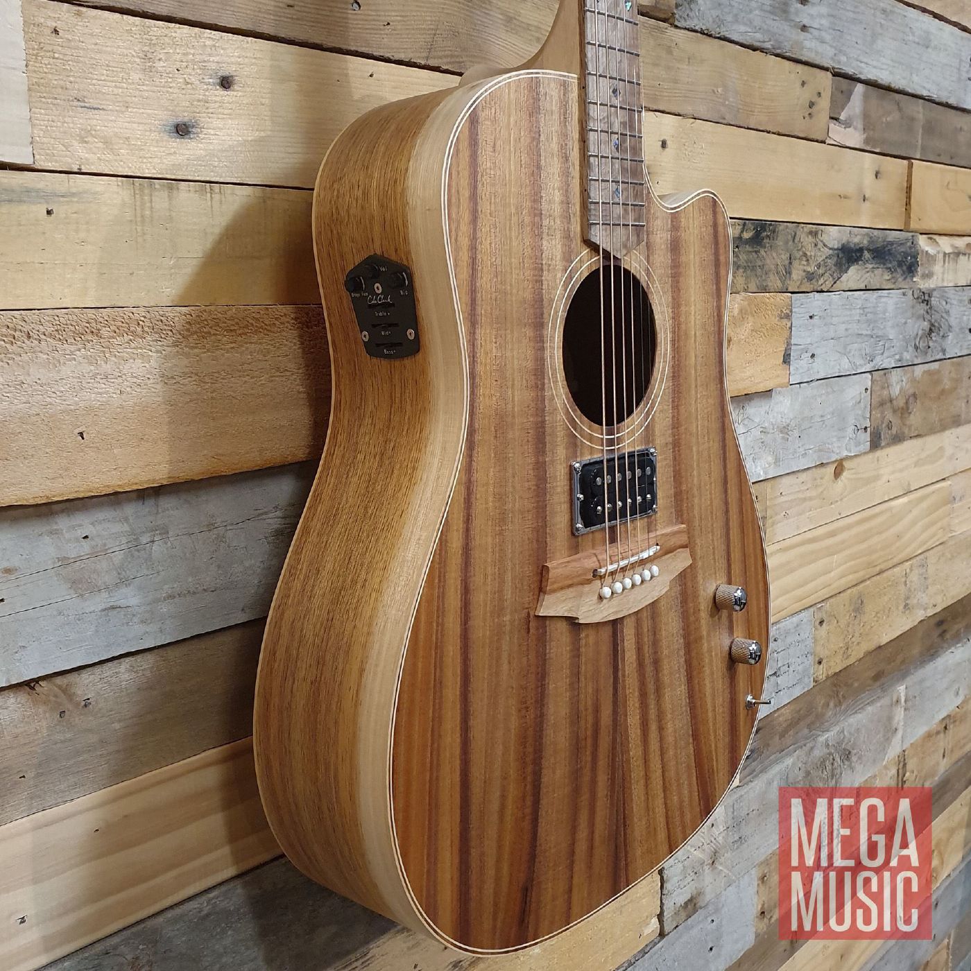 Cole Clark Fat Lady 2 Acoustic Guitar with Humbucker Pickup and Cutaway - All Blackwood