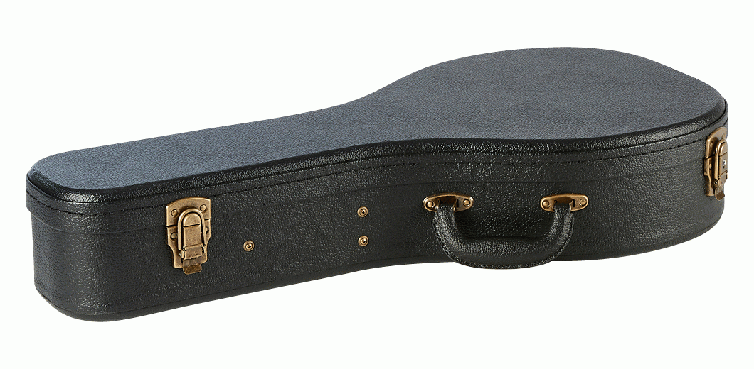 ARMOUR APMD MANDOLIN PREMIUM WOOD CASE