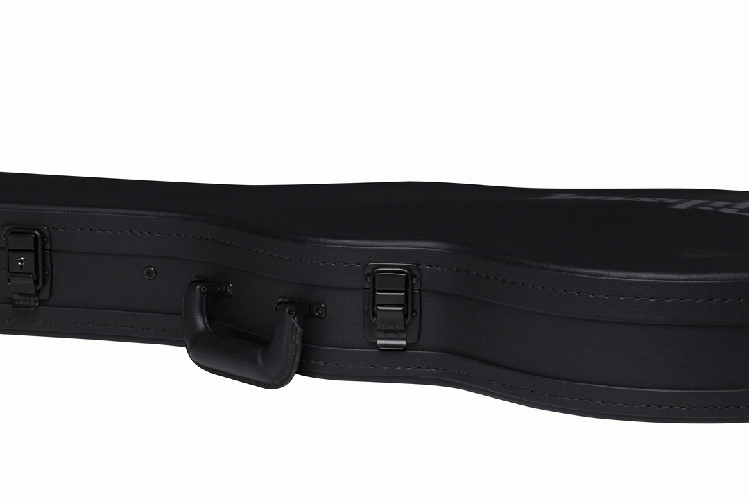 Gibson Les Paul Junior Modern electric guitar in hardshell case, showcasing the black protective exterior and padded interior.