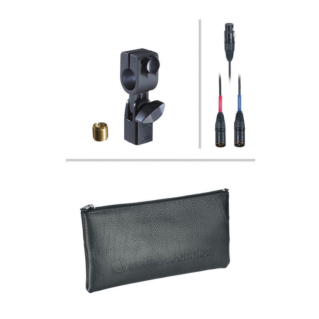 Audio-Technica ATM250DE Hypercardioid Dynamic Instrument Microphone