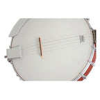 Epiphone MB100 5-String Open Back  Banjo Vintage Satin Brown