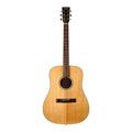 Tasman TA100 Acoustic Guitar with Case