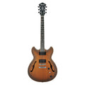 Ibanez AS53 Hollow Body Guitar - Antique Brown Sunburst Semi Gloss