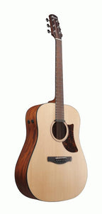 Ibanez AAD100E Advanced Acoustic Grand Dreadnought Guitar with Pickup - Open Pore Natural