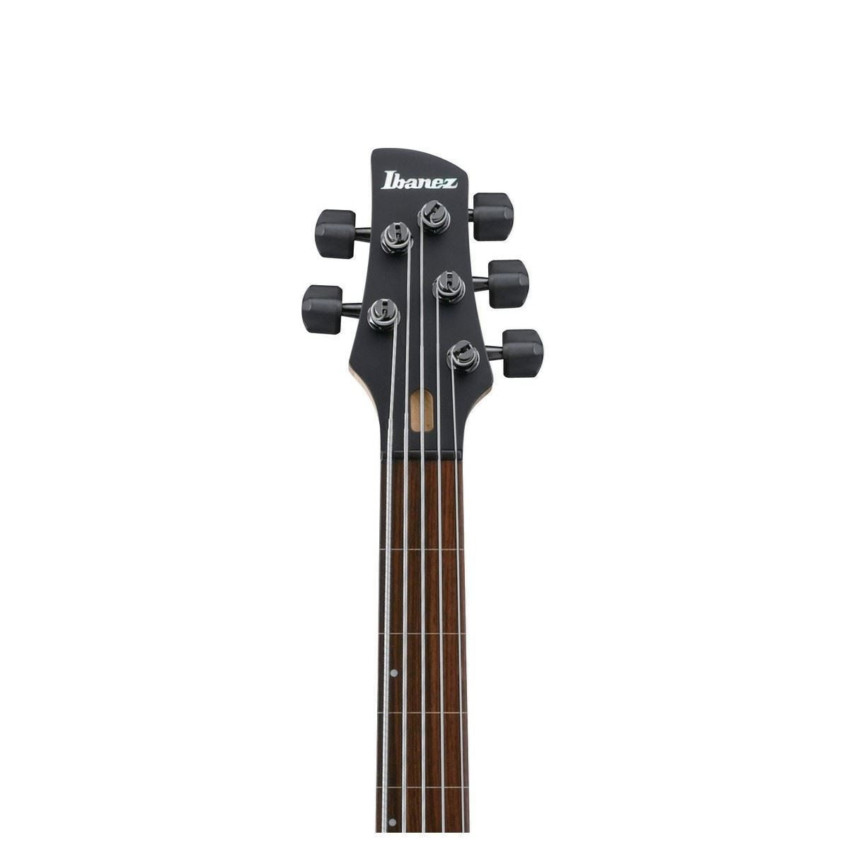 Ibanez GWB1005 Gary Willis Signature 5 String Bass Guitar - Fretless - Natural Flat
