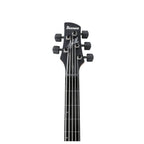 Ibanez GWB35 Gary Willis Signature 5 String Bass Guitar - Fretless - Black Flat
