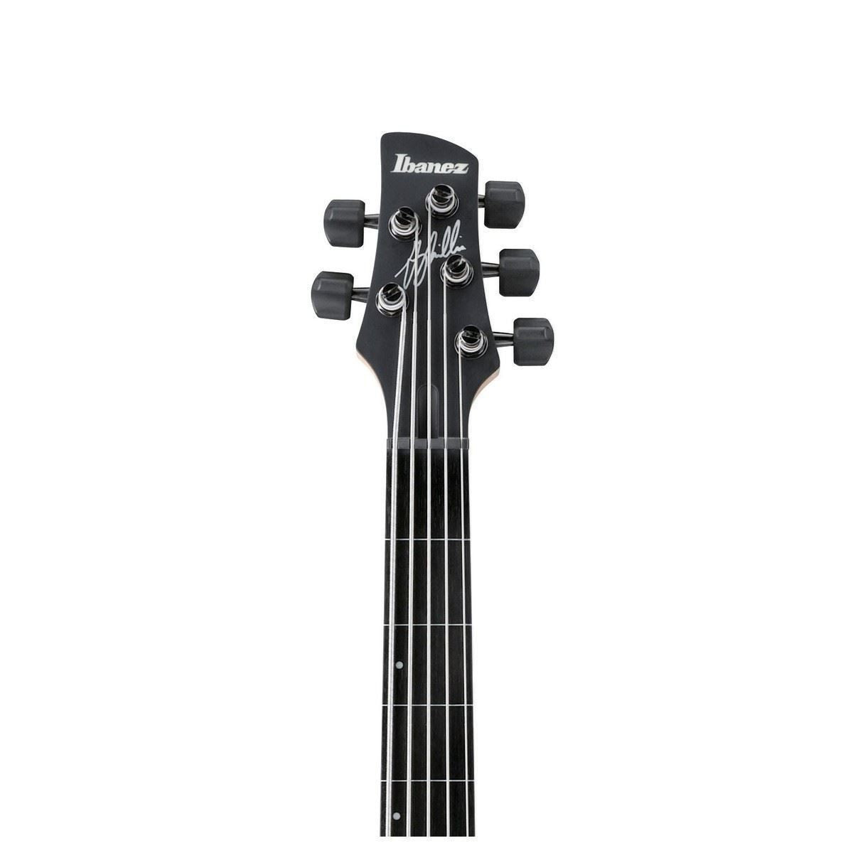 Ibanez GWB35 Gary Willis Signature 5 String Bass Guitar - Fretless - Black Flat