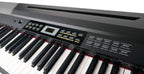 Beale DP300 Portable Digital Piano with 88 Hammer Weighted Keys