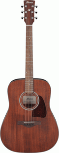 Ibanez AW54 Artwood Acoustic Guitar in Open Pore Natural