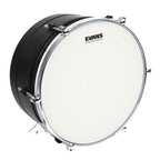 Evans 14-inch Genera G1 coated drum head with a smooth, white surface, designed for versatile drum set sound and durability.