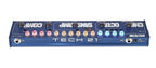 Tech 21 Bass Fly Rig