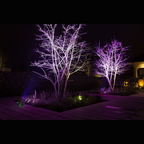 Beamz BBP96SW Battery Uplight Par 6x12W WDMX