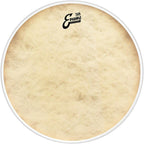Evans BD20CT Calftone 20-inch bass drum head showing the textured drum head surface with branding and drum logo.