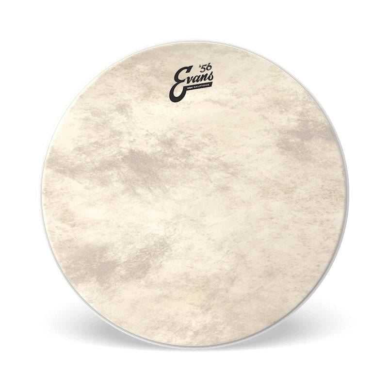 Evans Calftone EQ4 Bass Drum 24 Inch