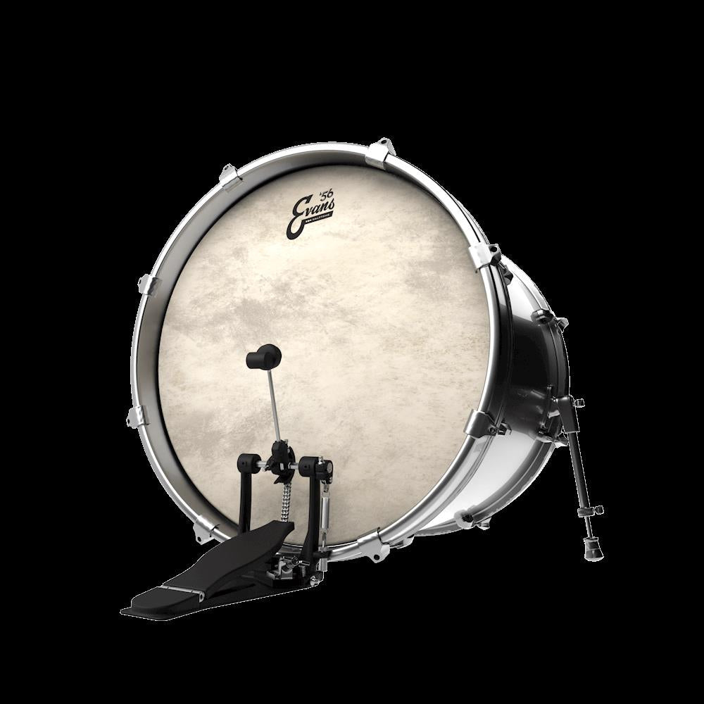 Evans Calftone EQ4 Bass Drum 24 Inch