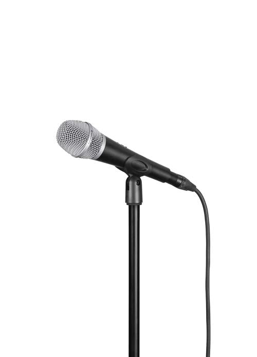 Beyerdynamic TG V35 s Supercardioid Dynamic Vocal Microphone with Switch