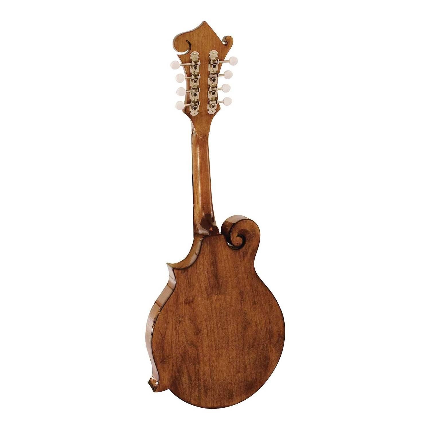 Barnes & Mullins BM650 Salvino Mandolin