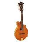 Barnes & Mullins BM700 Piercy Mandolin