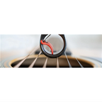 Black Mountain Guitar Ring Slide- Small