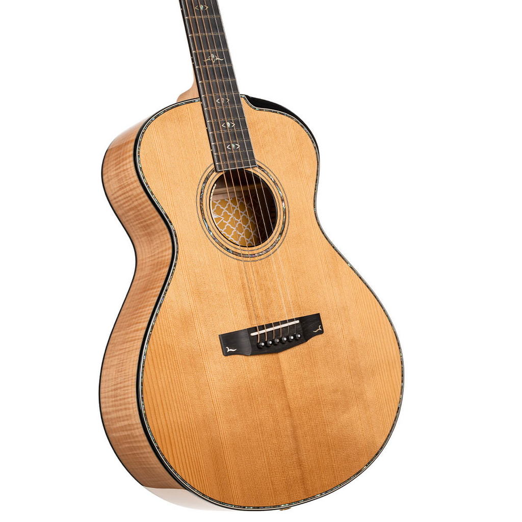 Cort Gold Passion Acoustic Guitar w/Soft Case - Gloss Natural