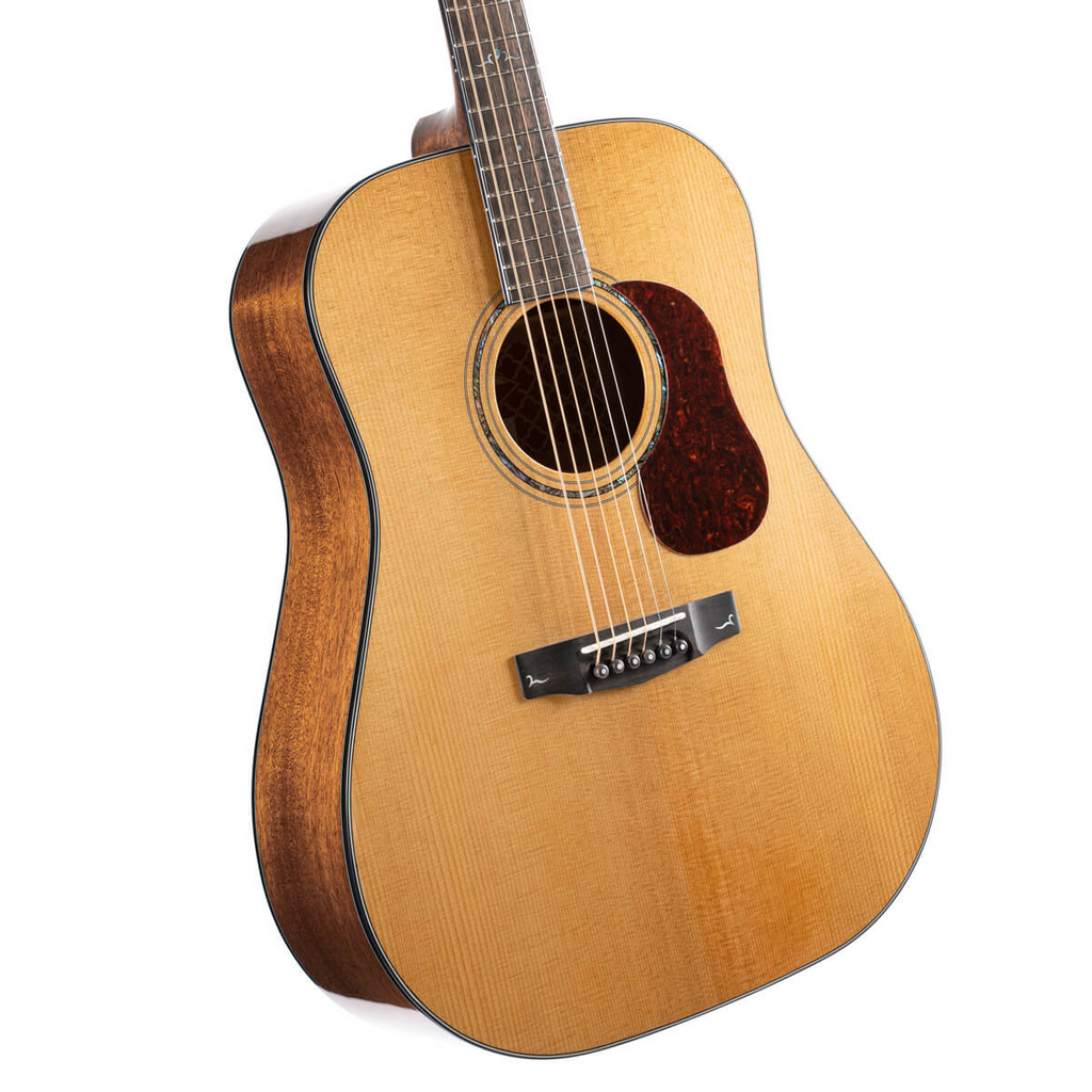 Cort Gold D6 Dreadnought Acoustic Guitar w/Soft Case - Gloss Natural