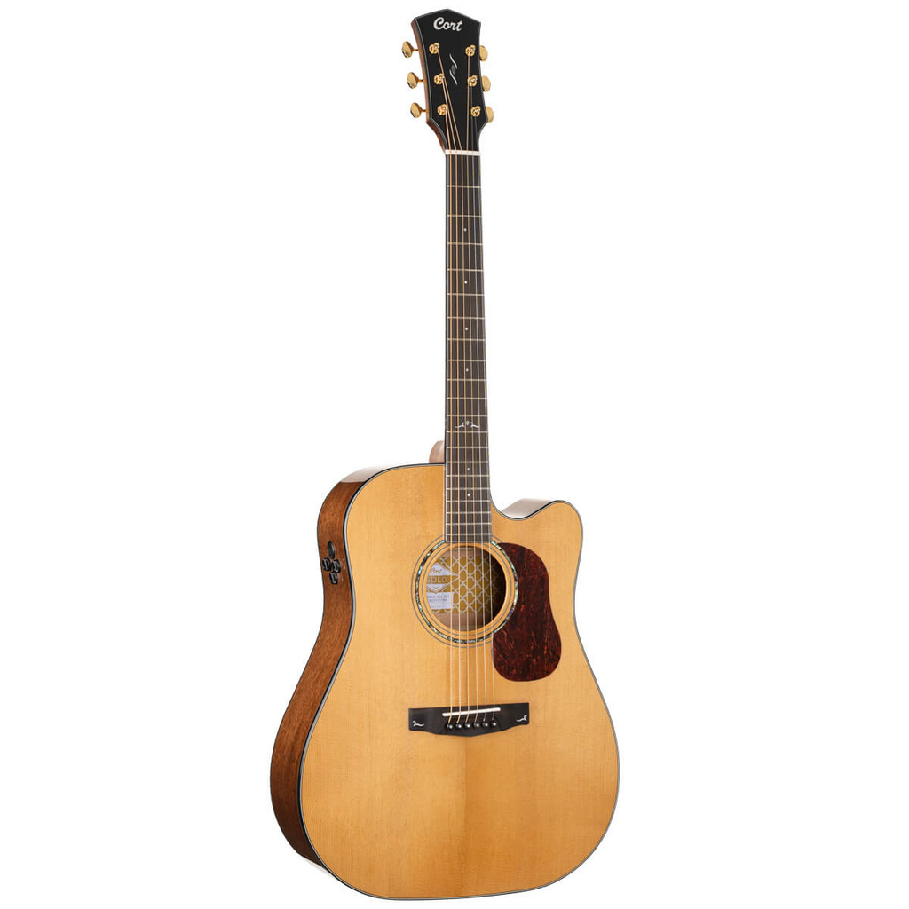 Cort Gold DC-6 dreadnought acoustic guitar in gloss natural finish with soft carrying case, showcasing its body and neck details.