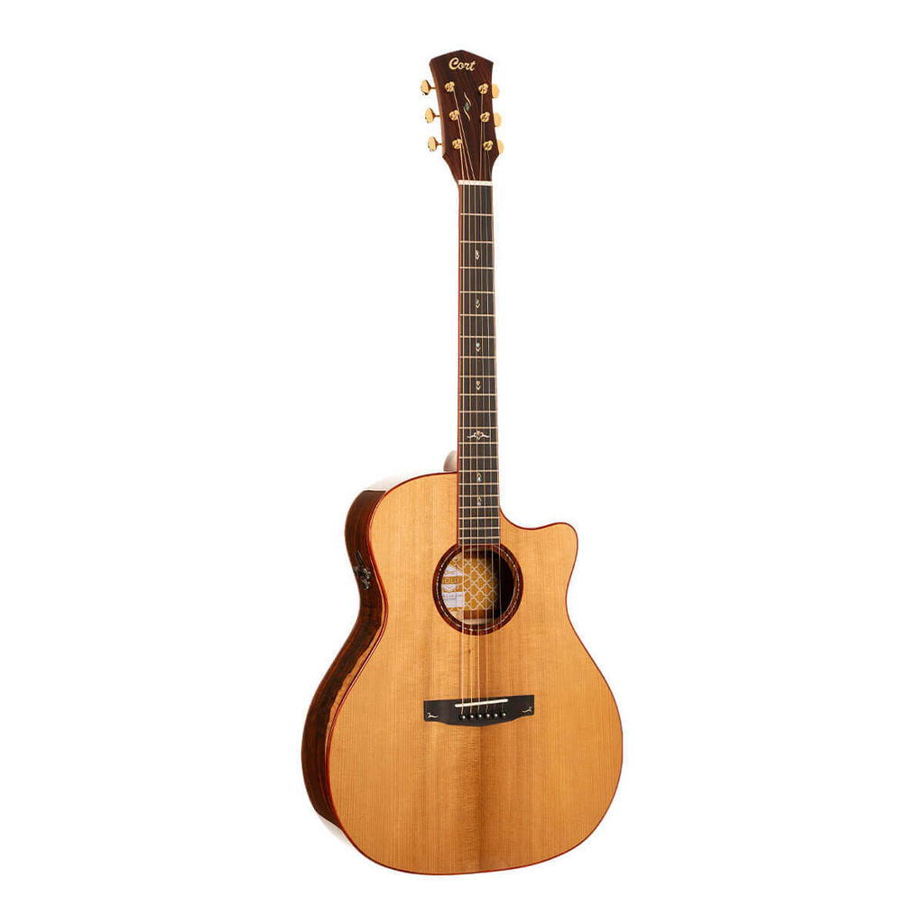 Cort Gold A10 Cocobolo GA acoustic guitar with natural finish and case, featuring a sleek body and detailed wood grain.