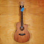 Cole Clark AN2EC All Mahogany Rosewood Acoustic Guitar
