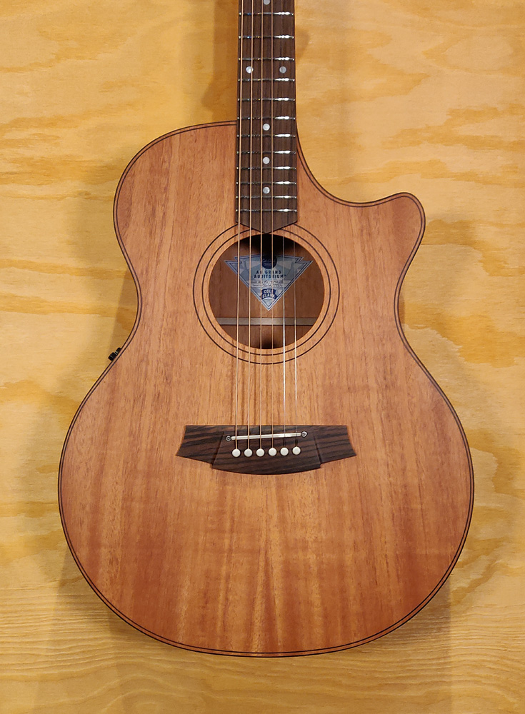 Cole Clark AN2EC All Mahogany Rosewood Acoustic Guitar