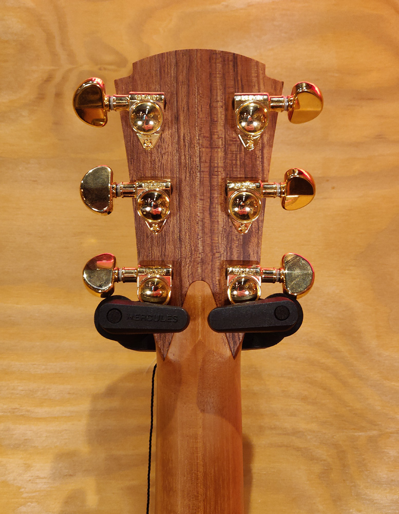 Cole Clark AN2EC All Mahogany Rosewood Acoustic Guitar