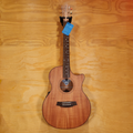 Cole Clark AN2EC All Mahogany Rosewood Acoustic Guitar