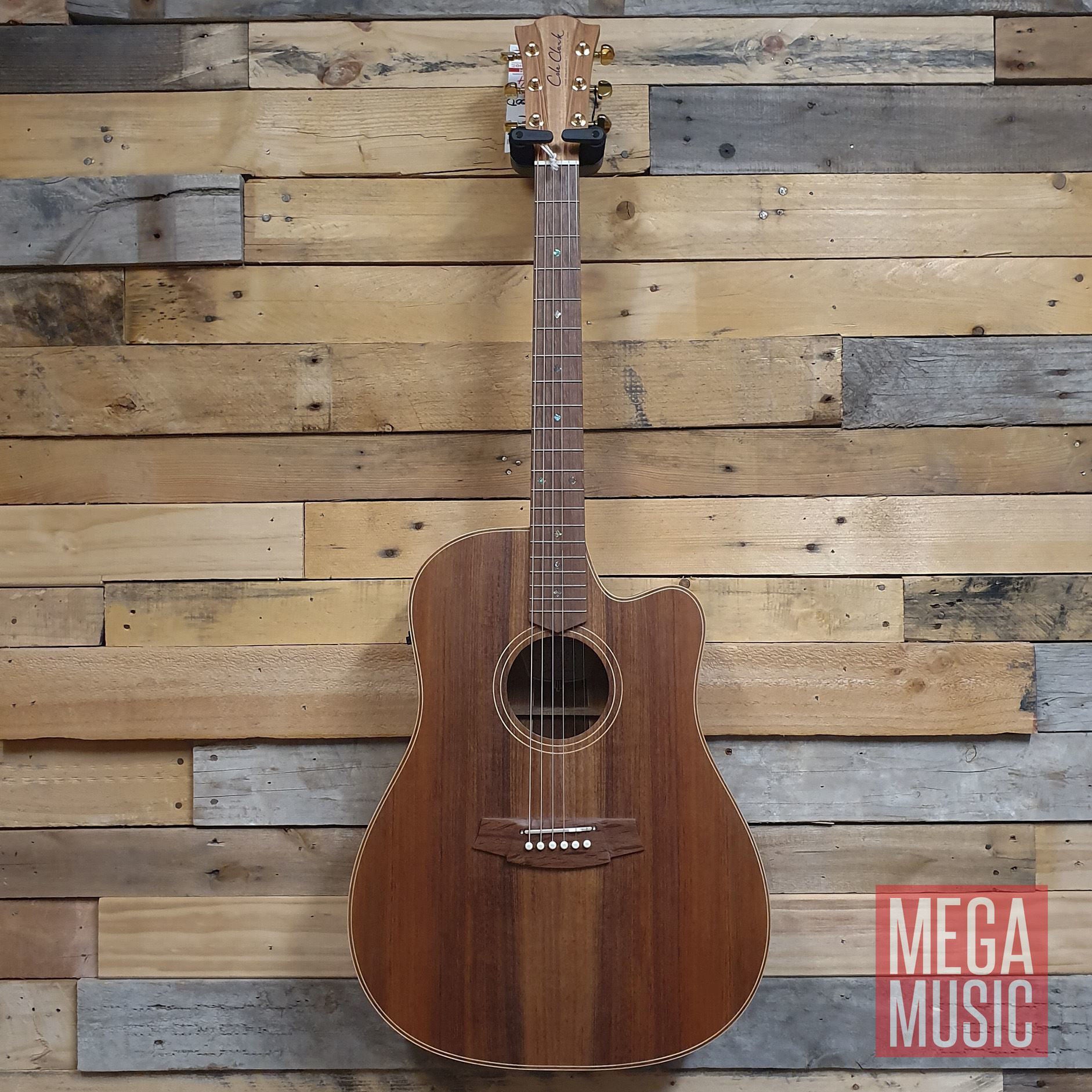 Cole Clark Fat Lady 2 Acoustic Guitar - All Blackwood (CCFL2ECBLBL)