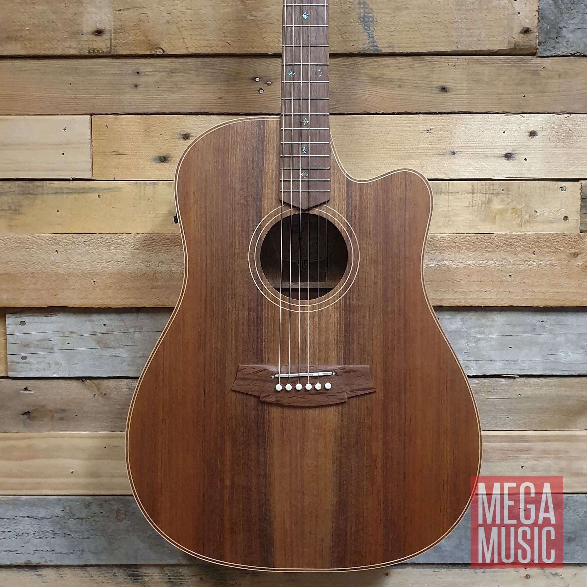 Cole Clark Fat Lady 2 Acoustic Guitar - All Blackwood (CCFL2ECBLBL)