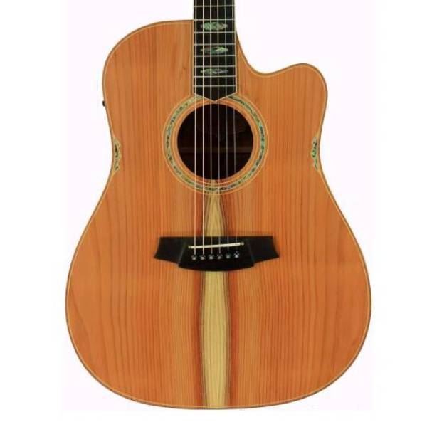 Cole Clark Fat Lady 3 Series Acoustic Guitar with Pickup and Cutaway Redwood / Blackwood