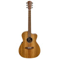 Cole Clark Studio AN1EC Left Handed Blackwood Back And Sideds