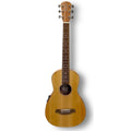 Cole Clark Studio PM1E Bunya Face, Maple Back & Sides Parlour