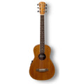 Cole Clark Studio PM1E All Mahogany Back & Sides Parlour