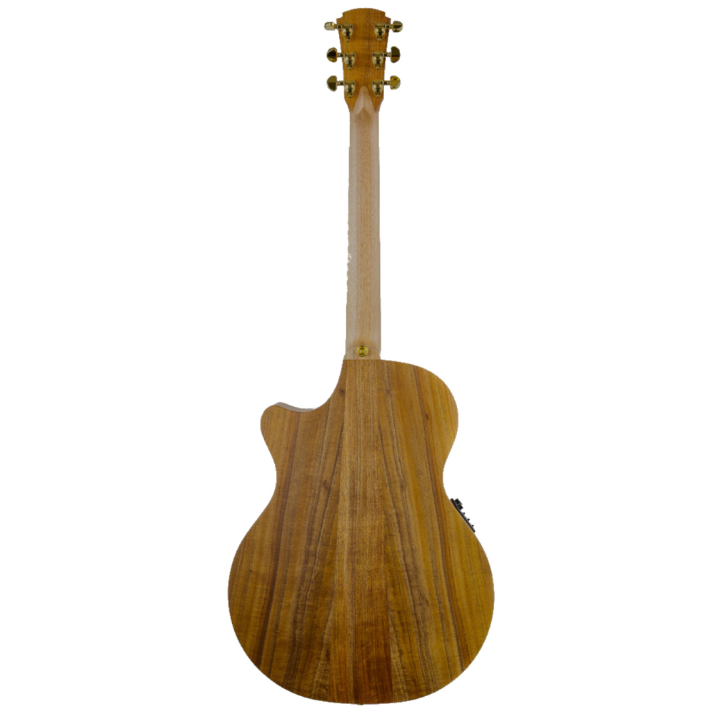 Cole Clark TL2EC True Hybrid HSS Acoustic Guitar with Blackwood / Blackwood