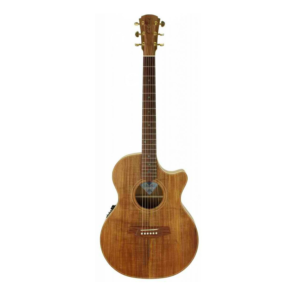 Cole Clark TL Thin Line Series grand auditorium acoustic guitar with pickup, blackwood face, back, sides, and cutaway design.